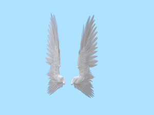 Wings 3D 模型