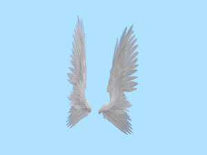 Wings 3D Model