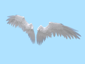Wings 3D 模型