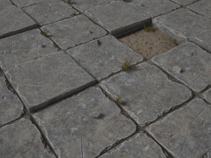 column set 3D Model