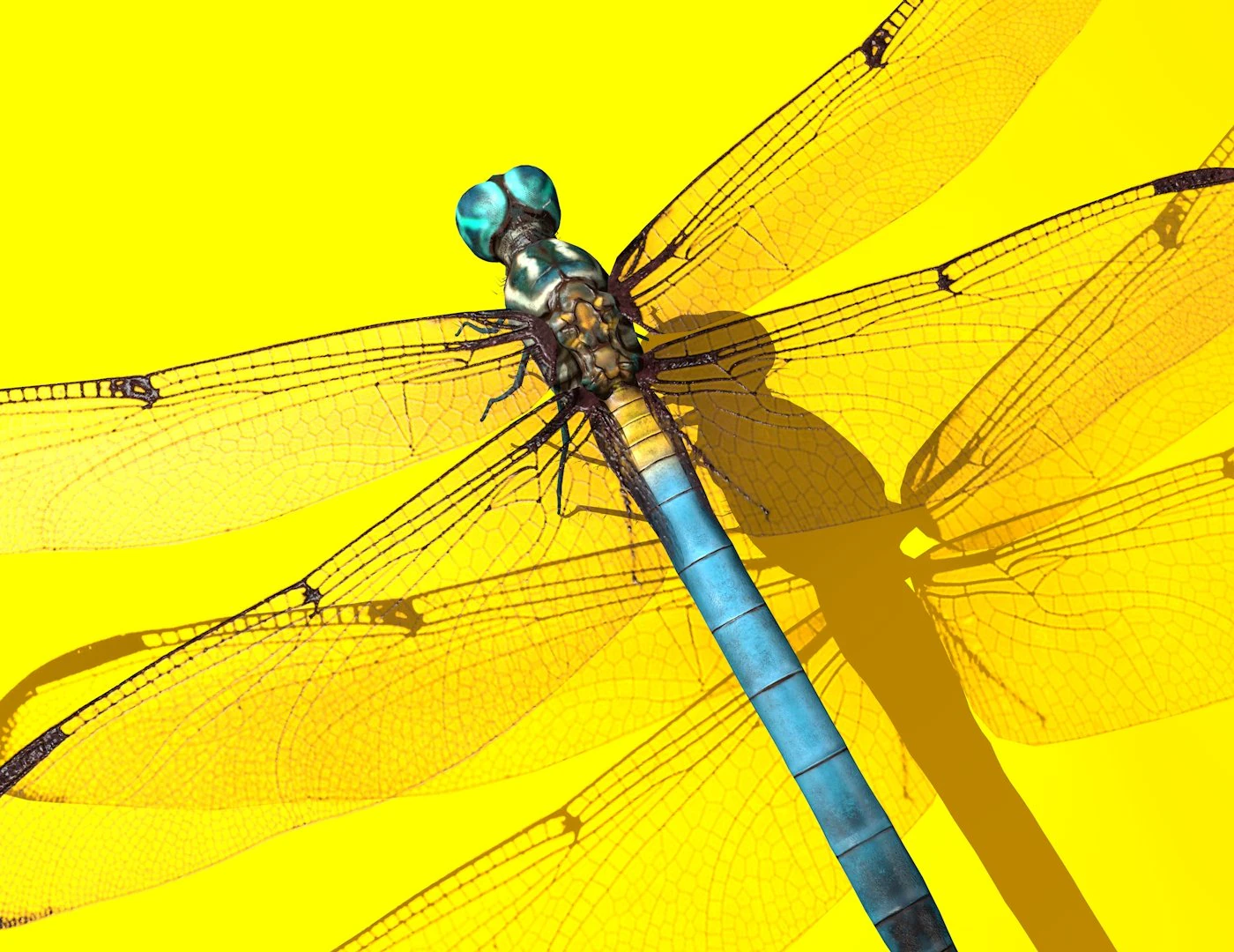 dragonfly rigged 3D Model .c4d .max .obj .3ds .fbx .stl .blend 