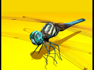 dragonfly rigged 3D Model
