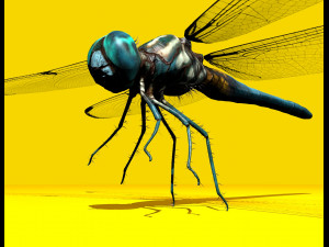 dragonfly rigged 3D Model