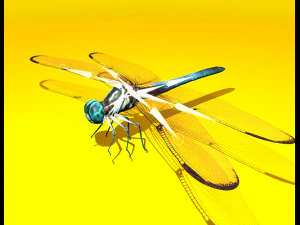 dragonfly rigged 3D Model