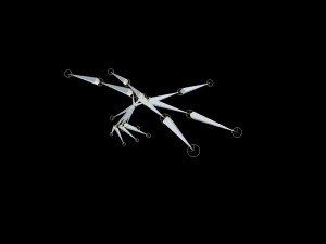 dragonfly rigged 3D Model