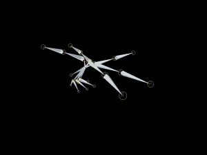 dragonfly rigged 3D Model
