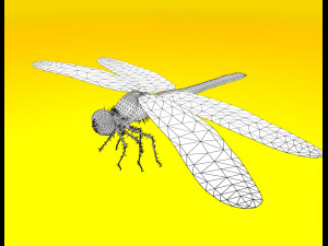 dragonfly rigged 3D Model