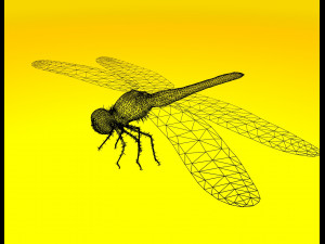 dragonfly rigged 3D Model