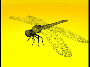 dragonfly rigged 3D Model