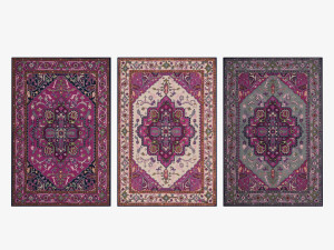 rug set 52 Modèle 3D