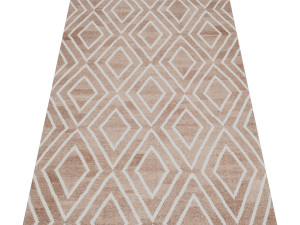 rug set 161 Model 3D