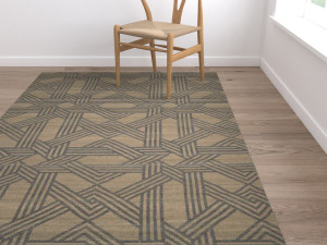 rug set 208 Model 3D