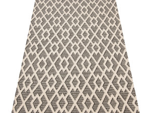 rug set 210 Modèle 3D