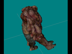 chimeragiant 3D Модель