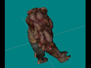 chimeragiant 3D Model