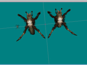 pauk 3v 3D Model
