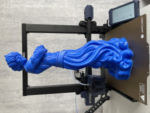Gin Modello di stampa 3D