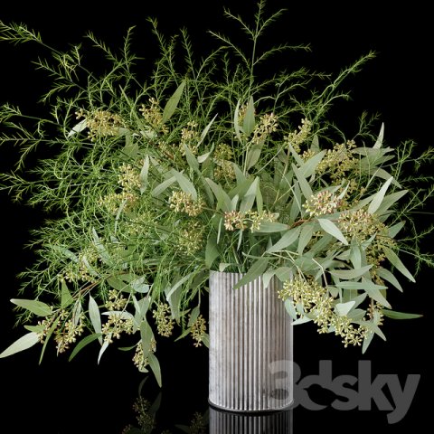 plants 3Dモデル .c4d .max .obj .3ds .fbx .stl .blend 