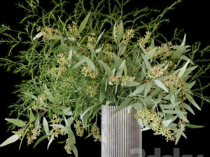 plants 3D 모델