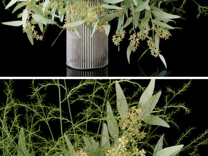plants 3Dモデル