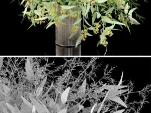 plants 3Dモデル