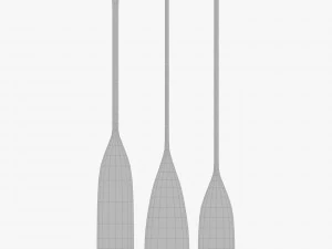 Old Paddles 3D Model