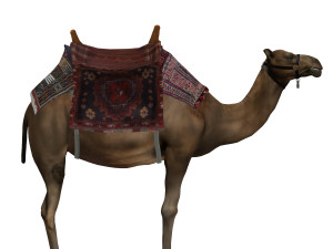 camel 3D Model