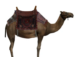 camel 3D Model