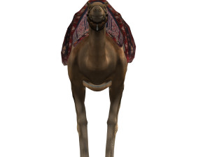 camel 3D Model