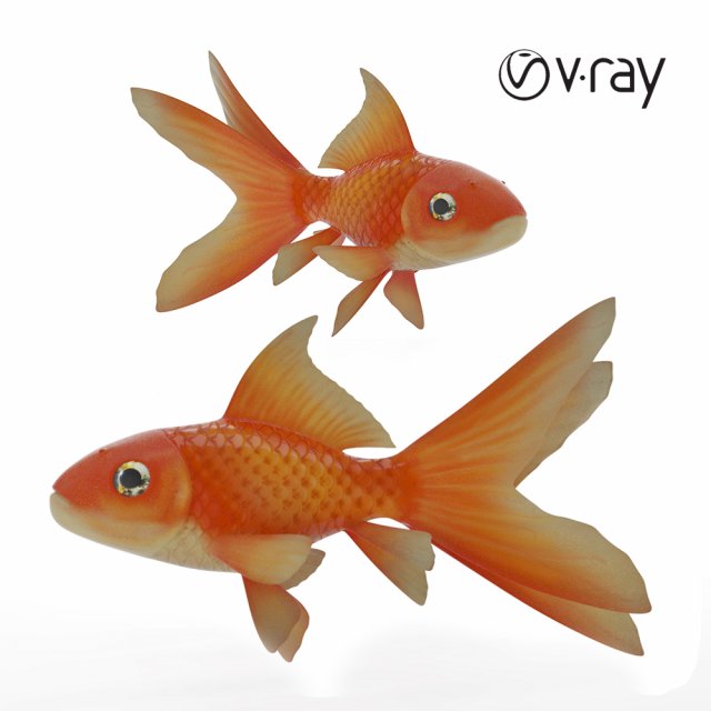 gold fish 3D Model .c4d .max .obj .3ds .fbx .stl .blend 