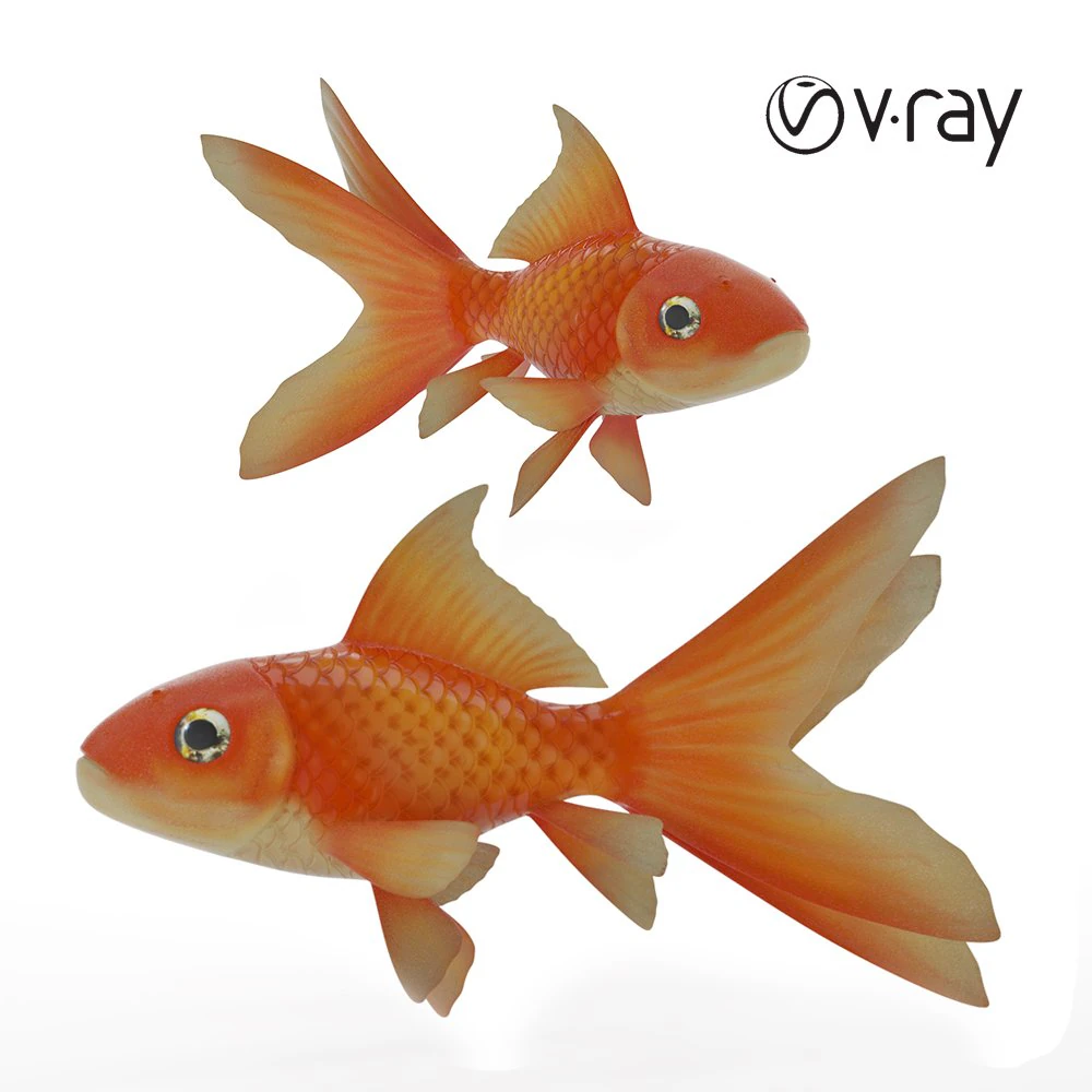 gold fish 3D Model .c4d .max .obj .3ds .fbx .stl .blend 