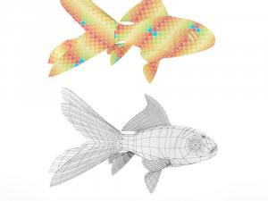 gold fish 3D Model
