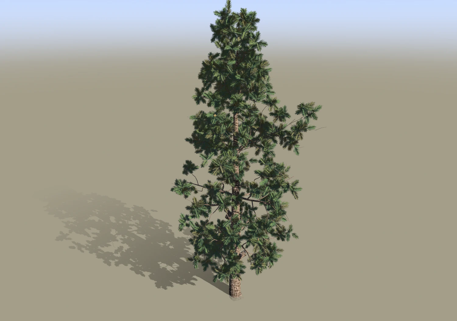 Pine tree 3D Model .c4d .max .obj .3ds .fbx .stl .blend 