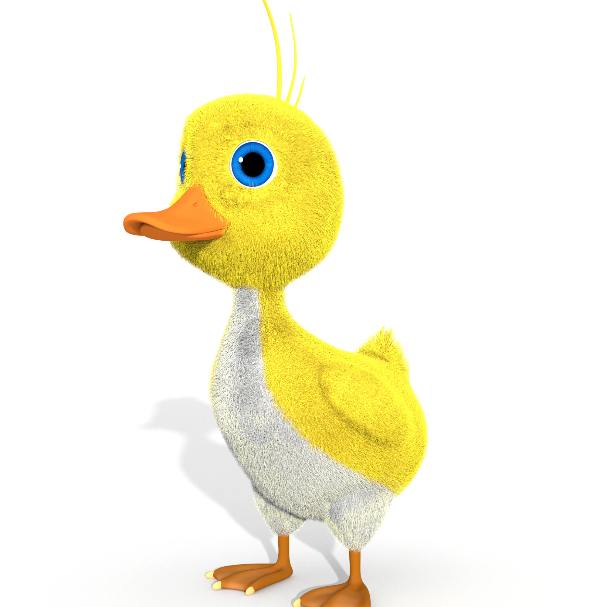 बत्तख 3D मॉडल .c4d .max .obj .3ds .fbx .stl .blend 