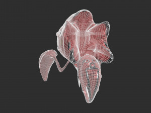 robo spider sci-fi Modèle 3D