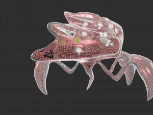 robo spider sci-fi 3D Model