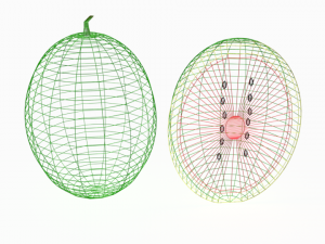 low poly cartoon watermelon 3D Model