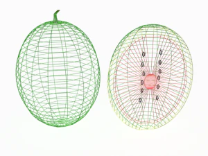 laag poly cartoon watermeloen 3D Model