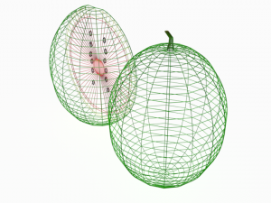 low poly cartoon watermelon 3D Model
