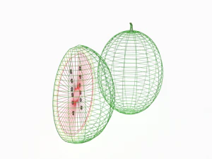 laag poly cartoon watermeloen 3D Model