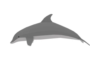 low poly cartoon dolphin 3D Model