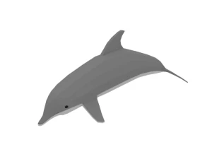 low poly cartoon dolphin 3D Model