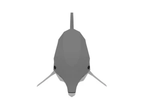 low poly cartoon dolphin 3D Model