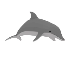 low poly cartoon dolphin 3D Model