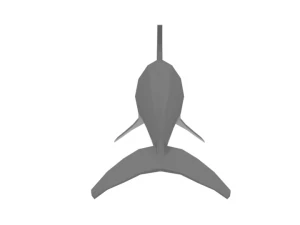 low poly cartoon dolphin 3D Model