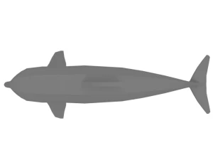 low poly cartoon dolphin 3D Model