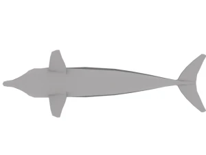 low poly cartoon dolphin 3D Model