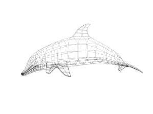 low poly cartoon dolphin 3D Model