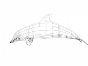 low poly cartoon dolphin 3D Model
