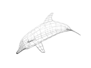 low poly cartoon dolphin 3D Model